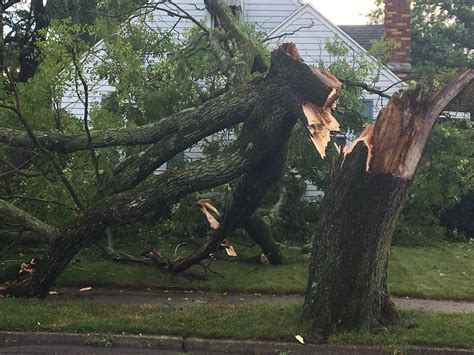 Thousands in the dark as severe storms down trees, knock power in DC area